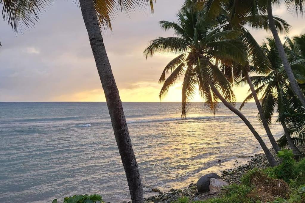 Simple Hollywood Beach Humacao Exterior foto